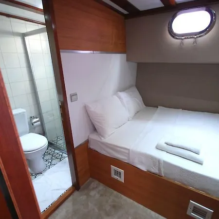 Albatros B Botel *